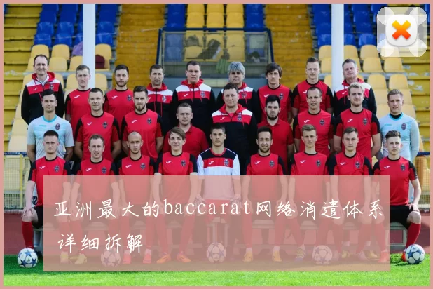 亚洲最大的baccarat网络消遣体系 详细拆解