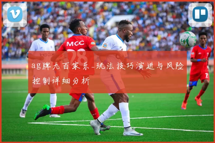 ag牌九百家乐_玩法技巧演进与风险控制详细分析