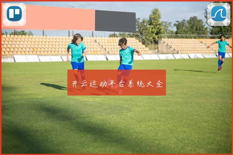 开云运动平台系统大全