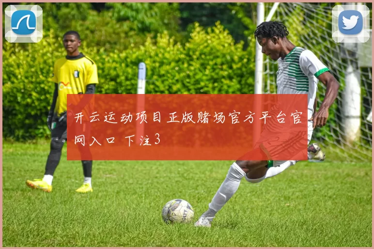 开云运动项目正版赌场官方平台官网入口 下注3
